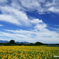 04 s 大空　 池永清文　SHINGETSU